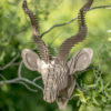 Victor - cardboard antelope kudu trophy. Animal head for self assembly.